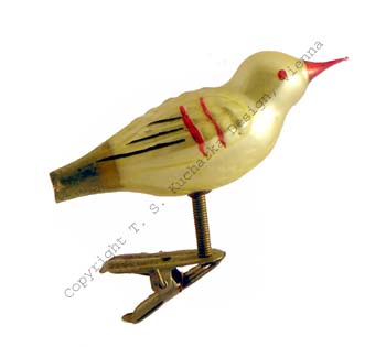 Vögel
