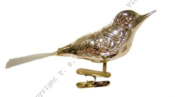 Vögel