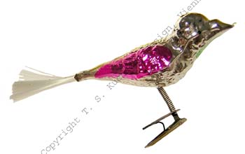 Vögel