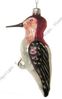 Vögel