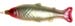 Fische