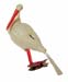 Vögel